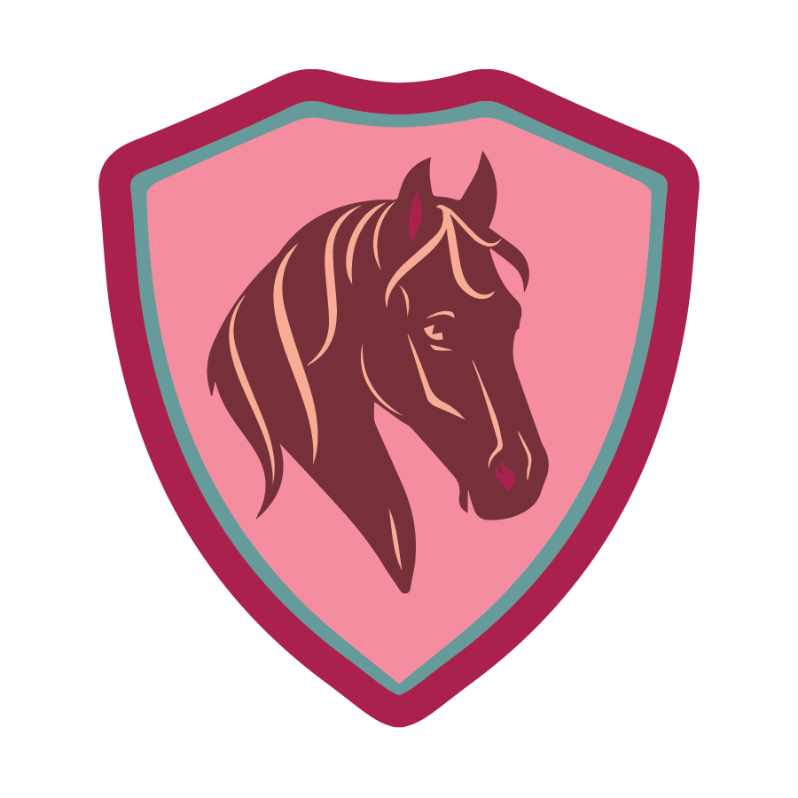 Hoo Ha Pony Races Badge