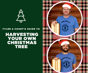 Harvesting Your Own Christmas Tree